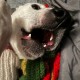 Nathaniel  Keith 's profile image