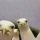 Dan Claassen's profile image