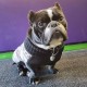 Manny Melkio's profile image