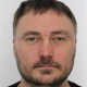 Toomas Perillus's profile image
