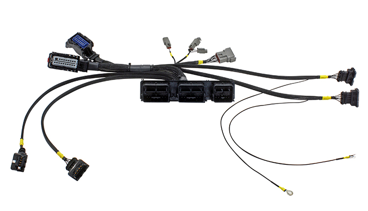 AEM Infinity Plug & Play Harness for Ford Coyote Racing Engines