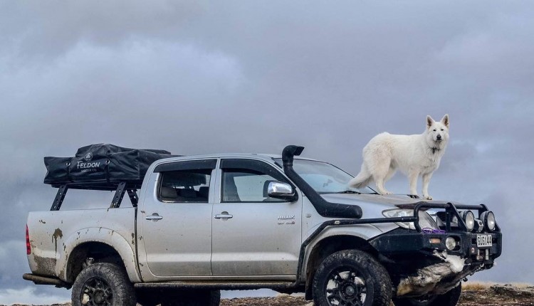 EGR vs EGT and NOx | Emissions Tuning [FREE LESSON]