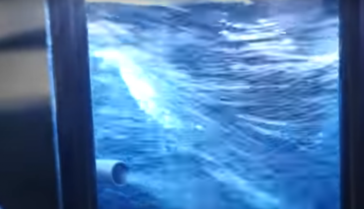 3400HP From ONE Pump! | What Do YOU Know About Brushless Fuel Pumps? [TECH NUGGET]