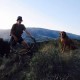 Regan Wyatt's imagen de perfil